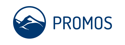 PROMOS consult Projektmanagement, Organisation und Service GmbH-logo